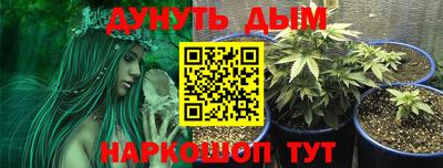 ешки Камышлов