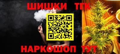 ешки Камышлов