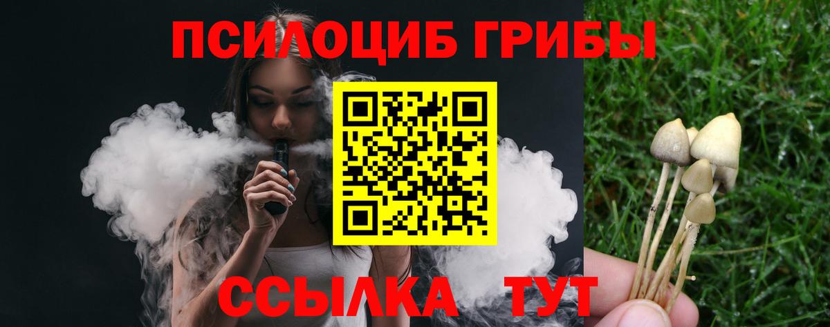 Псилоцибиновые грибы MAGIC MUSHROOMS  Вход с VPN  Иваново  Псилоцибиновые грибы мухоморы 
